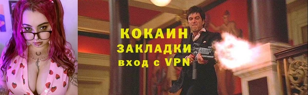 прущие грибы Балахна