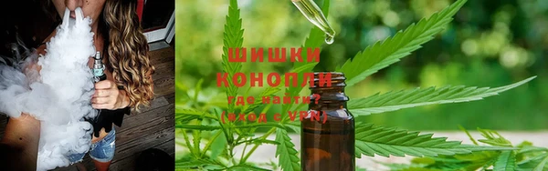 прущие грибы Балахна