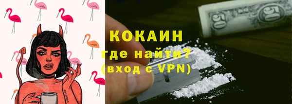 прущие грибы Балахна