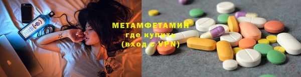 прущие грибы Балахна