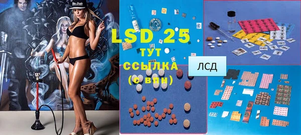 прущие грибы Балахна