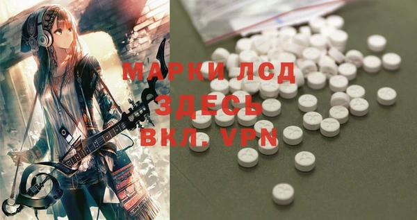 прущие грибы Балахна