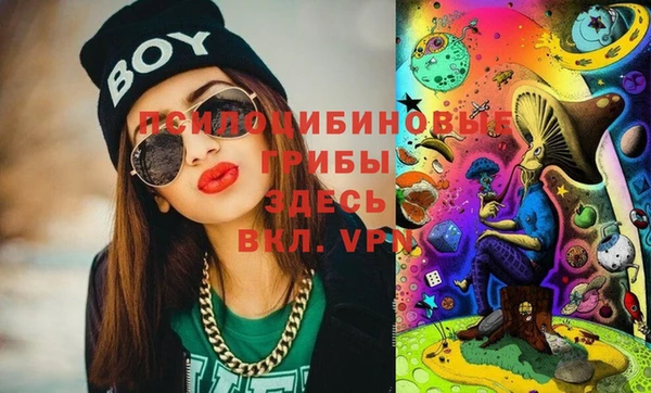 прущие грибы Балахна