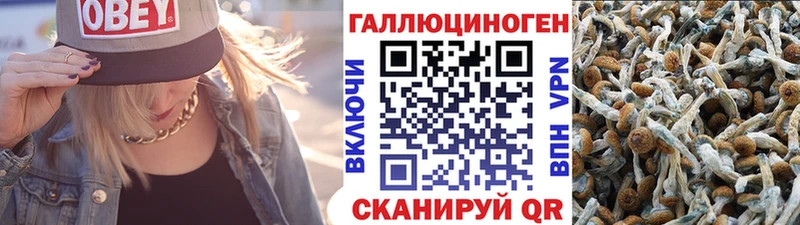 Псилоцибиновые грибы Magic Shrooms  как найти наркотики  Заречный 